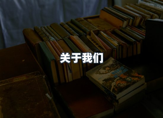 专业团队